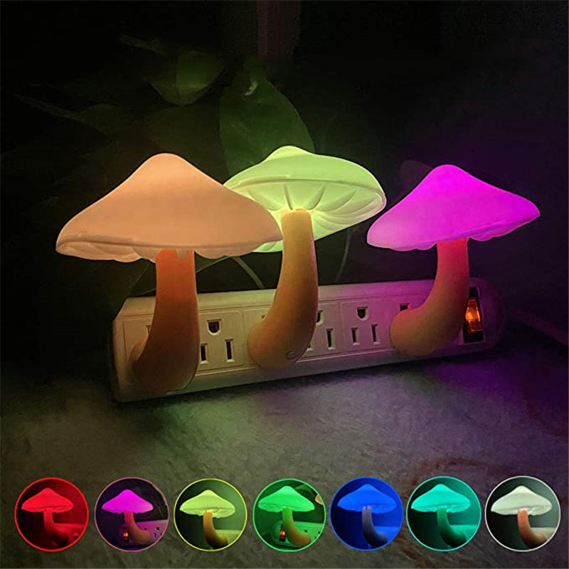 d097cda5ff4f8962ec32099397e6d33c
